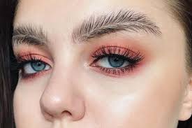 Que saviez-vous sur la greffe de sourcils ?